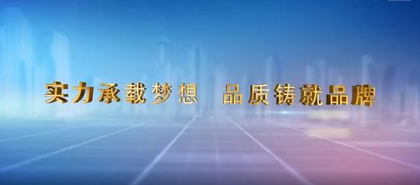 震翔實業企業宣傳片